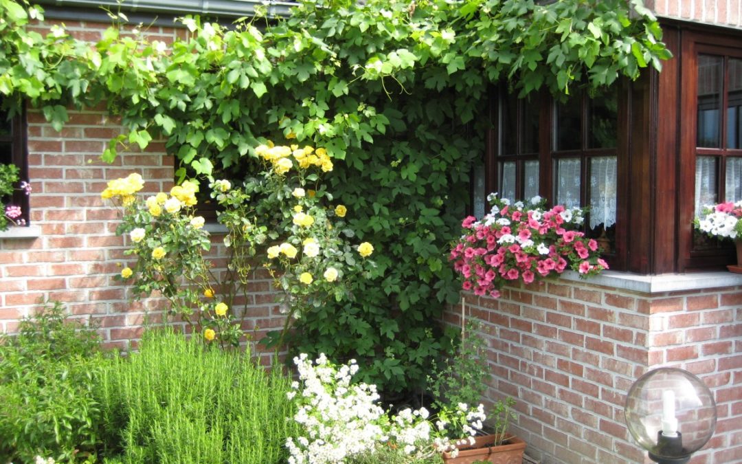 Le jardin est un lieu de REVELATION!