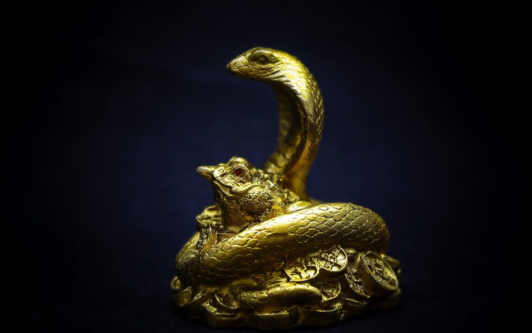 Les 5 animaux mythiques du Feng Shui